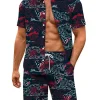 Houston Texans Short Sleeves Button Up Hawaiian Shirt and Shorts Summer Set NRTHWS169