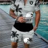 Las Vegas Raiders Men's Tracksuit Casual Zipper Collar Polo Shirt And Shorts NRTPLZ135